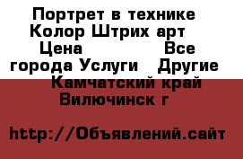 Портрет в технике “Колор-Штрих-арт“ › Цена ­ 250-350 - Все города Услуги » Другие   . Камчатский край,Вилючинск г.